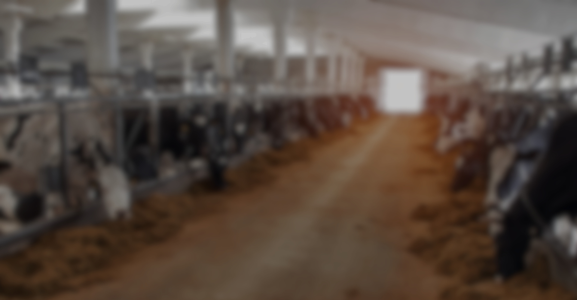 Advanced technology for dairy farming 2