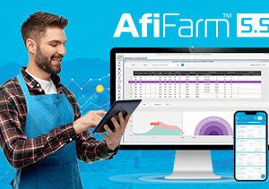 AfiFarm 5.5 - превосходное управление фермой